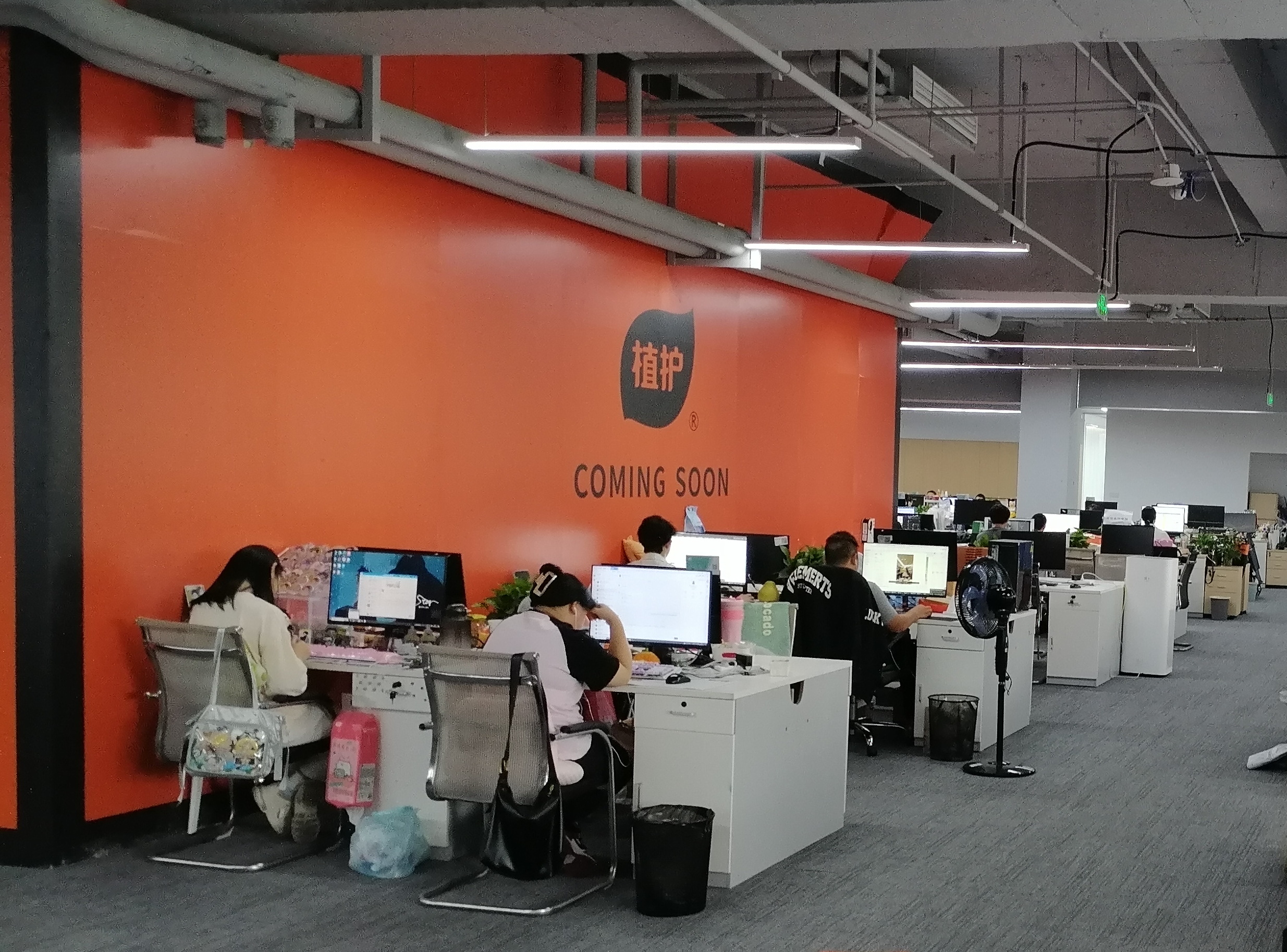 植护纸品公司员工办公区.jpg